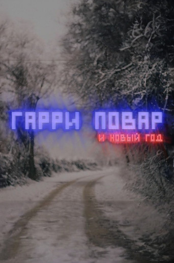 Harry Povar and New Year (2013)