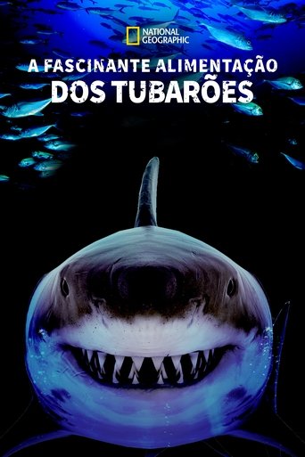 Great Shark Chow Down