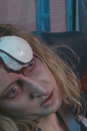 Bus to Dublin poster