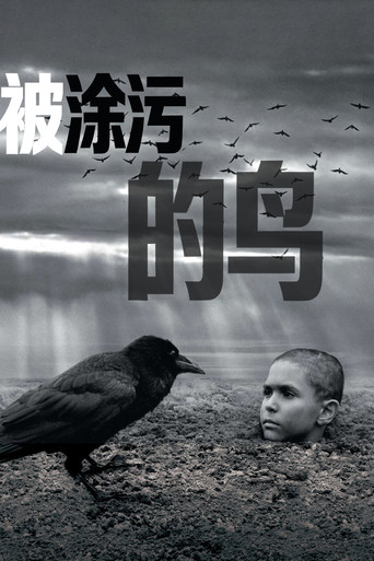 被涂污的鸟