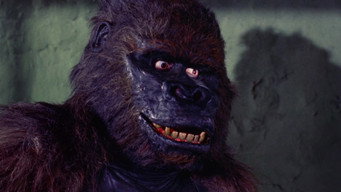 #10 Konga