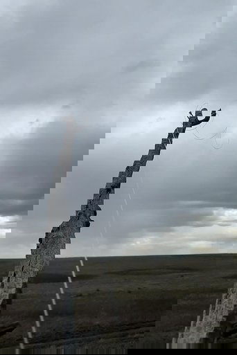 A Few Attempts to Understand the Sky