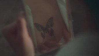 #24 Ластівковий Метелик