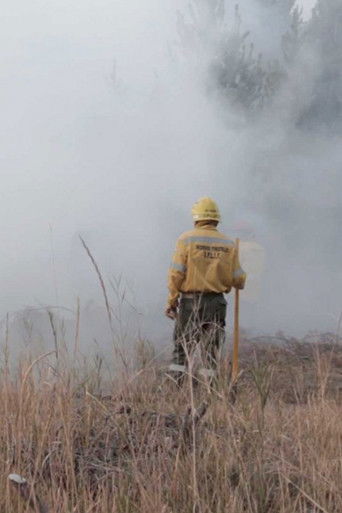 Cartell de El fuego que vimos