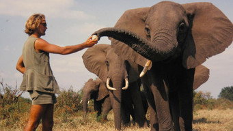 A Life Among Elephants (2024)