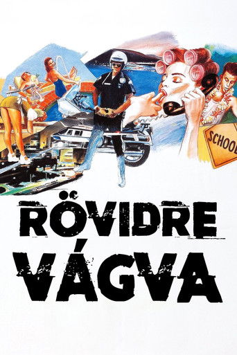 R&ouml;vidre v&aacute;gva (1993)