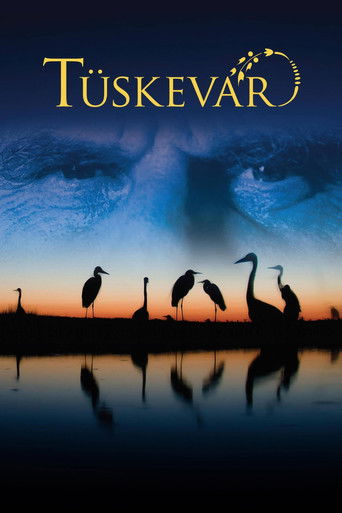 T&uuml;skev&aacute;r (2012)