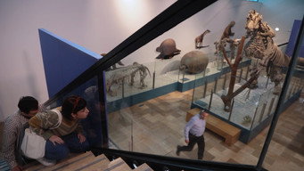Escena 1 de El Museo