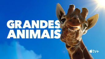 Cena de Grandes Animais