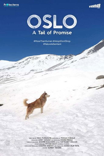 Cartell de Oslo: A Tail of Promise