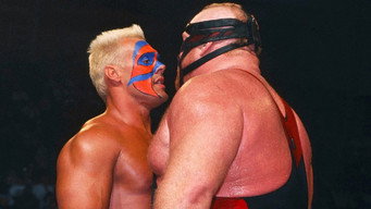 WCW Slamboree 1994 – Szenenbild