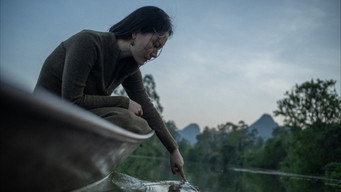 1982 (2026)
