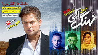 Episode 29 — Episode 29