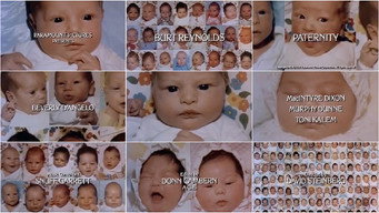 Paternity media image