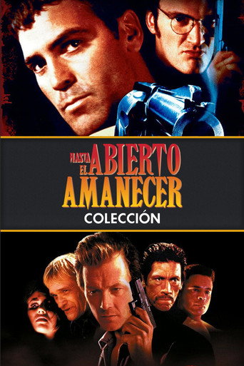 Abierto hasta el amanecer - Colección