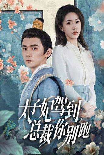 太子妃驾到，总裁你别跑 poster