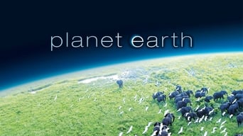 #1 Планета Земля