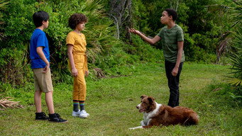 Pet Investigators (2025)