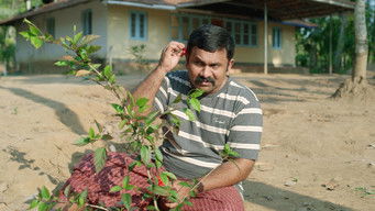 Episode 2 — Not Heaven, But Hell