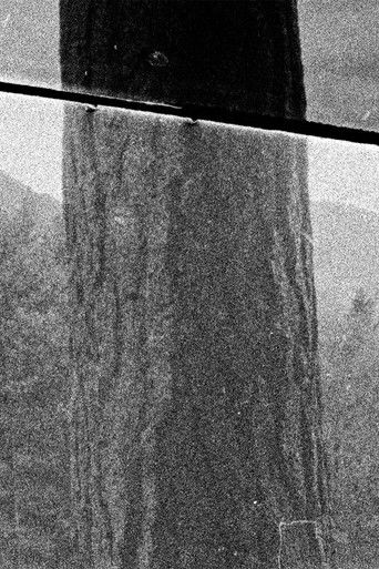 Wounded Edges (2026)