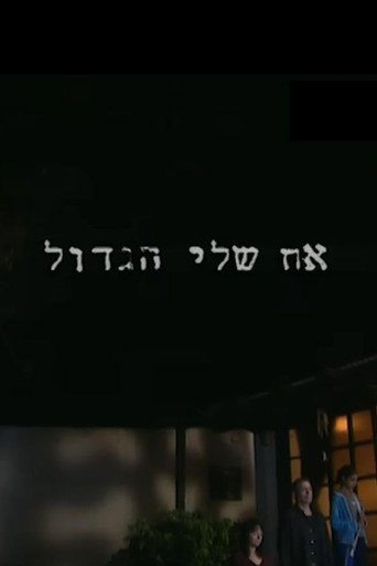 אח שלי הגדול — Pôsteres 1