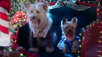 Galeria 2 - Puppy Star Christmas