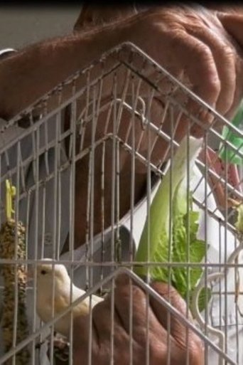 9+1 Moments of Loneliness poster