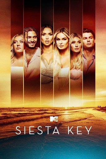Poster Siesta Key