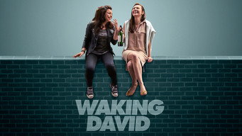 Waking David (2016)