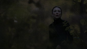 #33 Тар