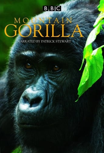 Poster of Gorilas