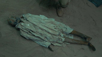 Aranhas! Um Experimento Que Deu Errado