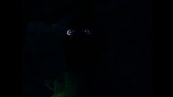 Sleepless (2001)