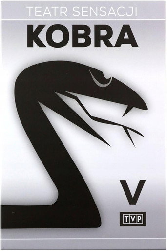 Za Kurtyną