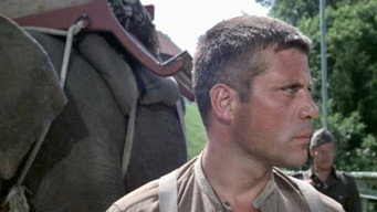 #7 Hannibal Brooks