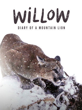 Willow: Diary of a Mountain Lion (2025)