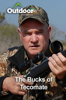 The Bucks of Tecomate poster