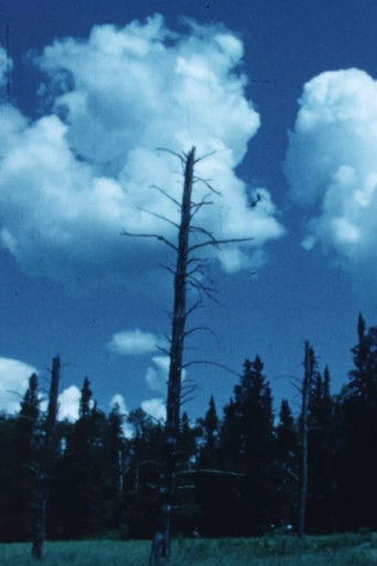 Outward Bound: Oriana (1968)