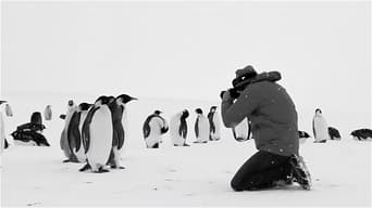 Voyage au Pôle Sud foto 0