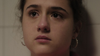 Galeria 2 - Los Tortuga