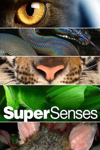 Supersenses