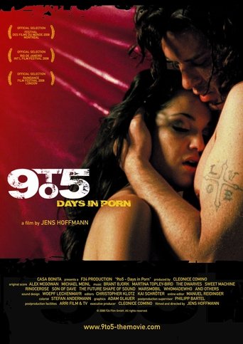 poster 9 to 5: Days in Porn