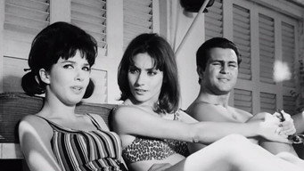 The Terrace (1963)