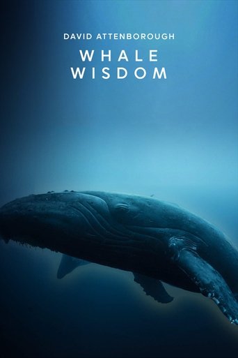Whale Wisdom (2018) Whale Wisdom (2018)