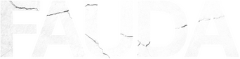 Fauda logo
