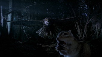 #4 Tiny Giants 3D