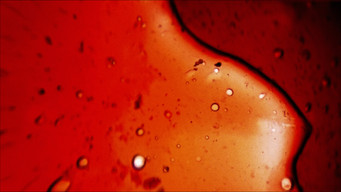 Galeria 5 - She Dies Tomorrow