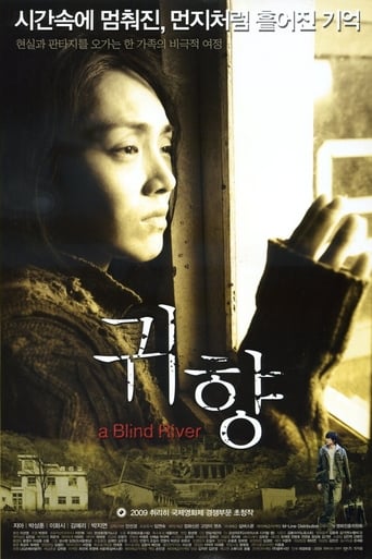 Poster of A Blind River