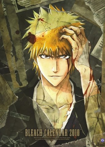 Bleach Collection Poster