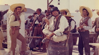 #11 Companeros